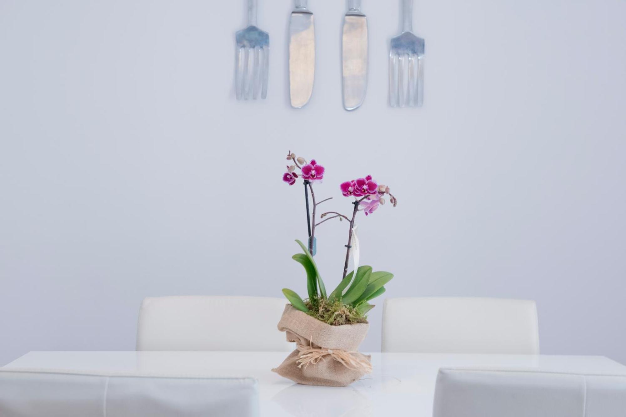 Apartamento Gaudi-Sant Pau บาร์เซโลนา ภายนอก รูปภาพ